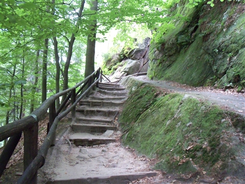 Obrázek v galerii